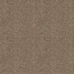 Shake it Up 200 Bits of Brown (UPGRADE)